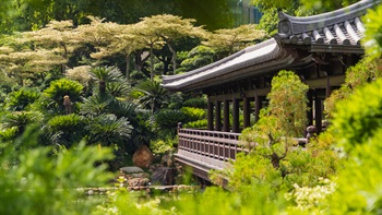 Song Cha Xie (Pine Tea House) located along the shoreline of Blue Pond with a covered walkway above the waters. Visitors can enjoy a panoramic view of the pond and indulge in the serenity and lushness of the landscape.